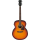 IBANEZ PJ50E OAH ACOUSTIC GUITAR IBANEZ PJ50E OAH ACOUSTIC GUITAR