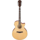 IBANEZ AE170 NTR ACOUSTIC GUITAR IBANEZ AE170 NTR ACOUSTIC GUITAR