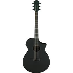 IBANEZ AEWC621 BOT ACOUSTIC GUITAR