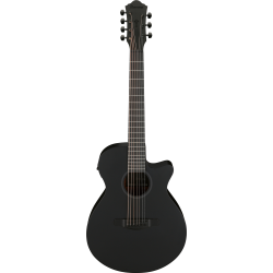 IBANEZ AEG721 BOT ACOUSTIC GUITAR