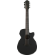IBANEZ AEG721 BOT ACOUSTIC GUITAR IBANEZ AEG721 BOT ACOUSTIC GUITAR