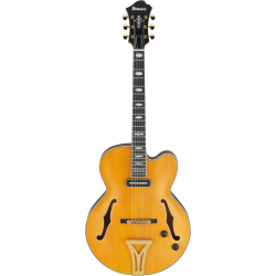 IBANEZ PM3C NAL PAT METHENY SIGN GUITAR