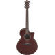 IBANEZ AE100 BUF ACOUSTIC GUITAR IBANEZ AE100 BUF ACOUSTIC GUITAR