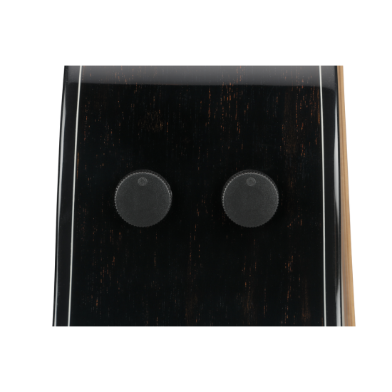 IBANEZ AAM340CE RUB ACOUSTIC GUITAR IBANEZ AAM340CE RUB ACOUSTIC GUITAR