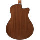 IBANEZ AAM50LCEOLB ACOUSTIC GUITAR