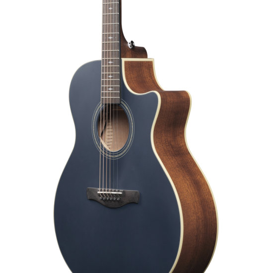 IBANEZ JSM10EM TTB JOHN SCFIELD SIGN GUITAR