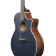 IBANEZ JSM10EM TTB JOHN SCFIELD SIGN GUITAR