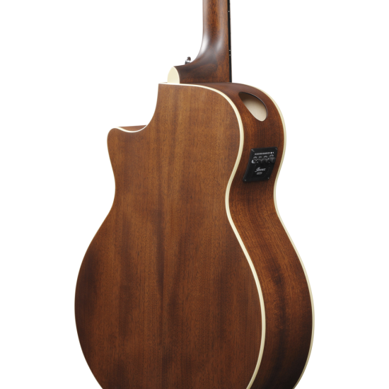 IBANEZ JSM10EM TTB JOHN SCFIELD SIGN GUITAR