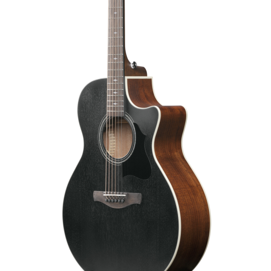 IBANEZ PM3C NAL PAT METHENY SIGN GUITAR IBANEZ PM3C NAL PAT METHENY SIGN GUITAR