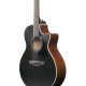 IBANEZ PM3C NAL PAT METHENY SIGN GUITAR IBANEZ PM3C NAL PAT METHENY SIGN GUITAR