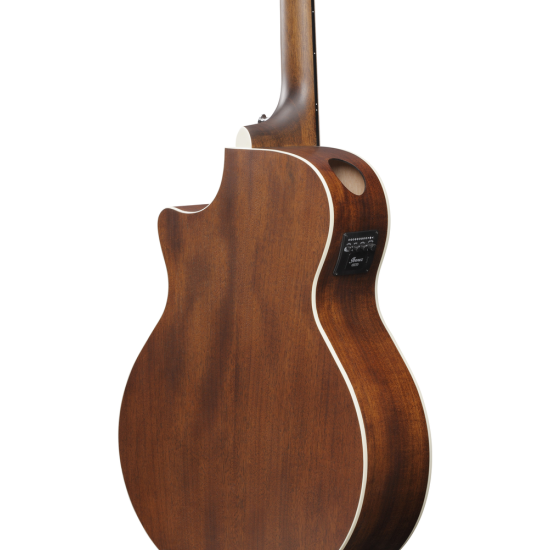 IBANEZ PM3C NAL PAT METHENY SIGN GUITAR IBANEZ PM3C NAL PAT METHENY SIGN GUITAR