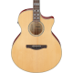IBANEZ AE170 NTR ACOUSTIC GUITAR IBANEZ AE170 NTR ACOUSTIC GUITAR