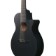 IBANEZ AEG721 BOT ACOUSTIC GUITAR IBANEZ AEG721 BOT ACOUSTIC GUITAR