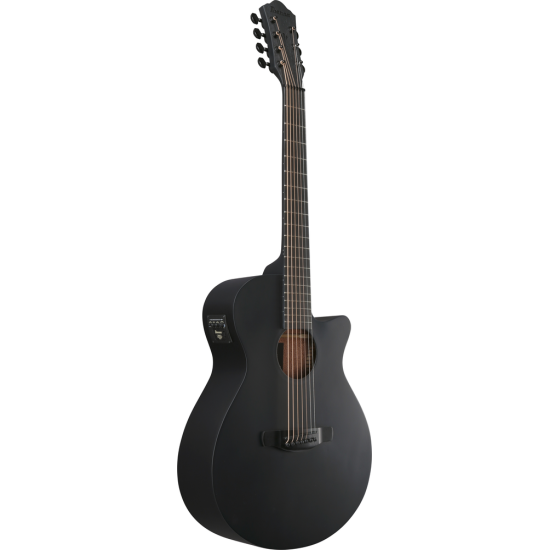 IBANEZ AEG721 BOT ACOUSTIC GUITAR IBANEZ AEG721 BOT ACOUSTIC GUITAR