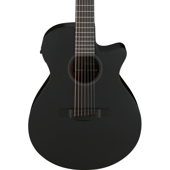 IBANEZ AEG721 BOT ACOUSTIC GUITAR IBANEZ AEG721 BOT ACOUSTIC GUITAR