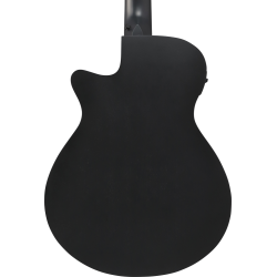 IBANEZ AEG721 BOT ACOUSTIC GUITAR