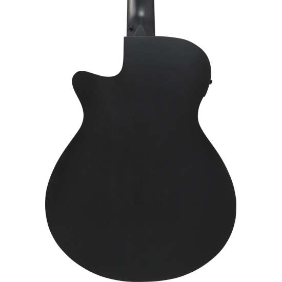 IBANEZ AEG721 BOT ACOUSTIC GUITAR IBANEZ AEG721 BOT ACOUSTIC GUITAR