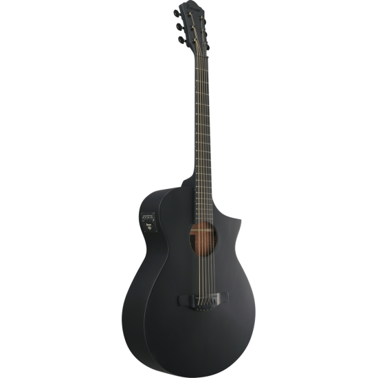 IBANEZ AEWC621 BOT ACOUSTIC GUITAR IBANEZ AEWC621 BOT ACOUSTIC GUITAR