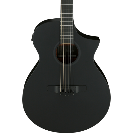 IBANEZ AEWC621 BOT ACOUSTIC GUITAR IBANEZ AEWC621 BOT ACOUSTIC GUITAR