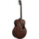 IBANEZ AJ54E OPN ACOUSTIC GUITAR IBANEZ AJ54E OPN ACOUSTIC GUITAR