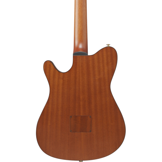 IBANEZ FRH10N IBF NYLON STRING GUITAR IBANEZ FRH10N IBF NYLON STRING GUITAR