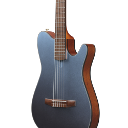 IBANEZ FRH10N IBF NYLON STRING GUITAR