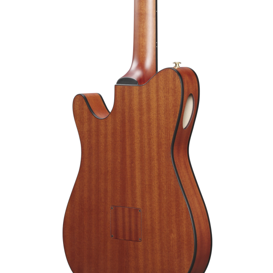 IBANEZ FRH10N RGF NYLON STRING GUITAR