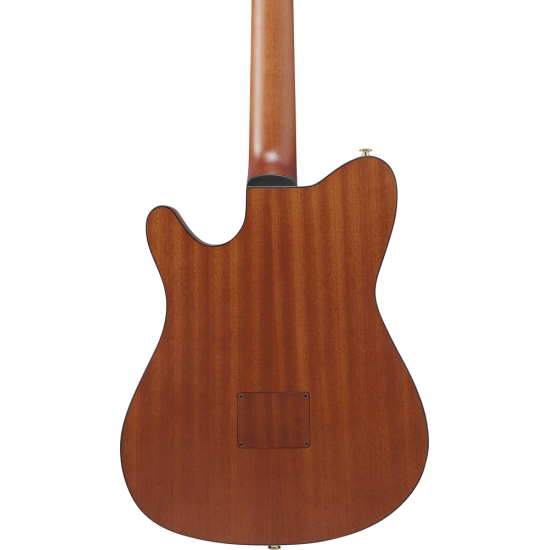 IBANEZ FRH10N RGF NYLON STRING GUITAR