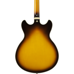 IBANEZ AE100 BUF ACOUSTIC GUITAR