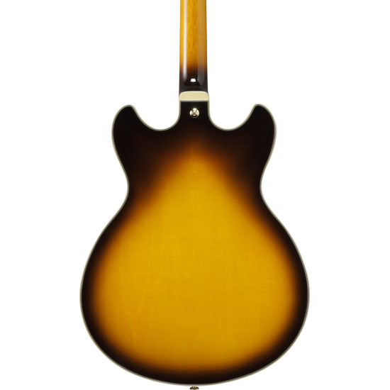 IBANEZ AE100 BUF ACOUSTIC GUITAR IBANEZ AE100 BUF ACOUSTIC GUITAR