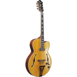 IBANEZ PM3C NAL PAT METHENY SIGN GUITAR
