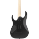 IBANEZ RG420EX BKF ELECTRIC GUITAR