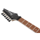 IBANEZ RG420EX BKF ELECTRIC GUITAR