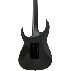 IBANEZ RGRT420 WK ELECTRIC GUITAR