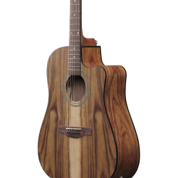 IBANEZ V40WSCEOPB ACOUSTIC GUITAR