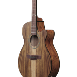 IBANEZ VC40WSCE OPB ACOUSTIC GUITAR