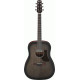 IBANEZ AAD50 TCB ADVANCED ACOUSTIC
