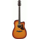 IBANEZ AAD50CE LBS ADVANCED ACOUSTIC