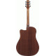 IBANEZ AAD50CE TCB ADVANCED ACOUSTIC