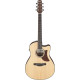 IBANEZ AAM50CE OPN ACOUSTIC GUITAR IBANEZ AAM50CE OPN ACOUSTIC GUITAR