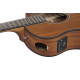 IBANEZ AAM54CE OPN ACOUSTIC GUITAR IBANEZ AAM54CE OPN ACOUSTIC GUITAR