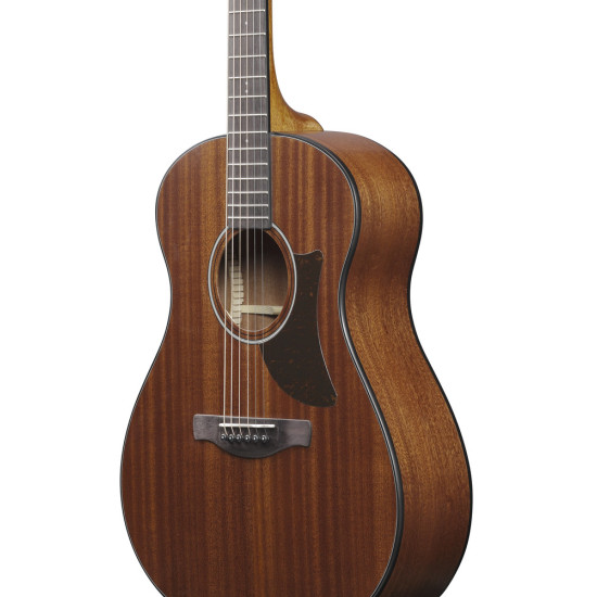 IBANEZ AAM54 OPN ACOUSTIC GUITAR IBANEZ AAM54 OPN ACOUSTIC GUITAR