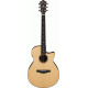 IBANEZ AEG200 LGS AEG ACOUSTIC IBANEZ AEG200 LGS AEG ACOUSTIC