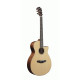 IBANEZ AEG200 LGS AEG ACOUSTIC IBANEZ AEG200 LGS AEG ACOUSTIC