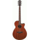 IBANEZ AEG220 LGS AEG ACOUSTIC IBANEZ AEG220 LGS AEG ACOUSTIC