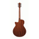 IBANEZ AEG220 LGS AEG ACOUSTIC IBANEZ AEG220 LGS AEG ACOUSTIC