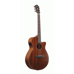 IBANEZ AEG220 LGS AEG ACOUSTIC