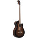 IBANEZ AEGB24FE MHS ACOUSTIC GUITAR IBANEZ AEGB24FE MHS ACOUSTIC GUITAR