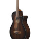 IBANEZ AEGB24FE MHS ACOUSTIC GUITAR IBANEZ AEGB24FE MHS ACOUSTIC GUITAR