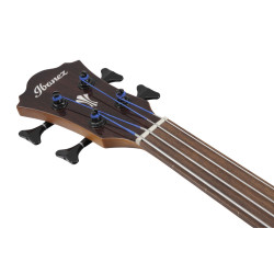 IBANEZ AEGB24FE MHS ACOUSTIC GUITAR